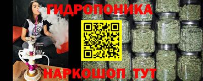 кокс Новодвинск