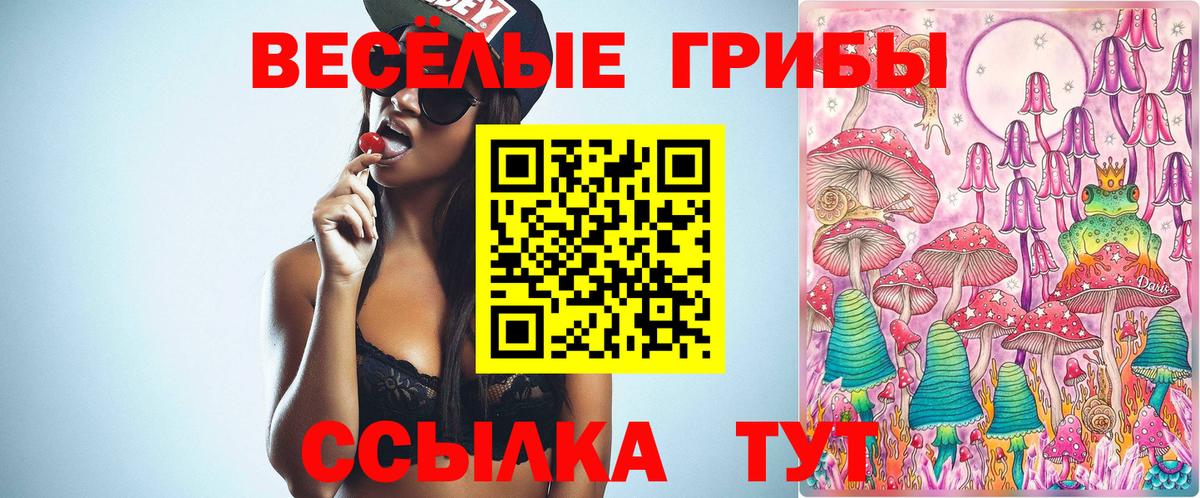 Галлюциногенные грибы ЛСД Тулун