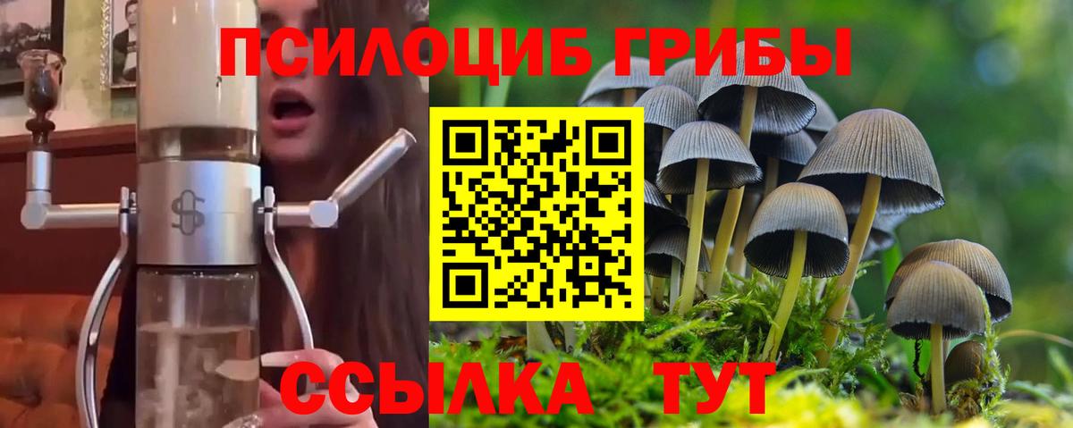 Галлюциногенные грибы Psilocybe  Вход с VPN  Тулун 